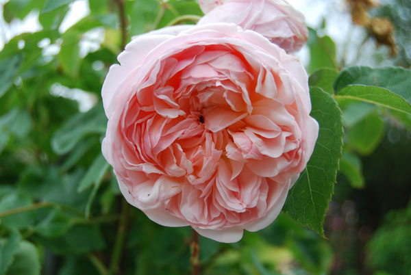 �G�u����